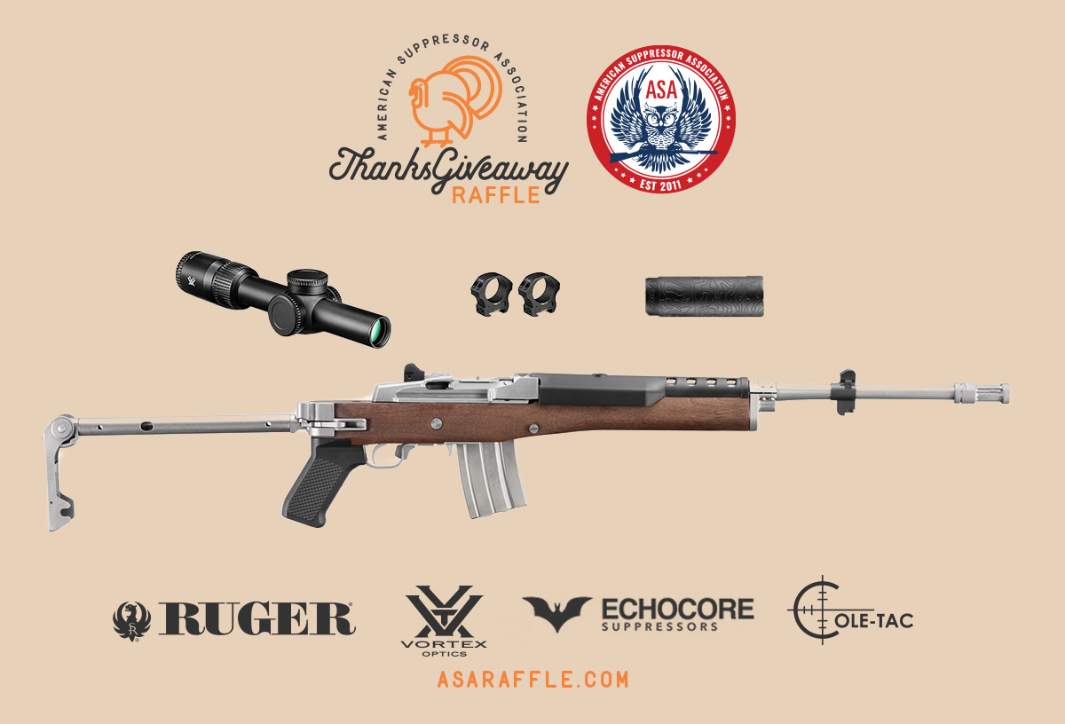 Ruger / Echocore Suppressed Rifle Package